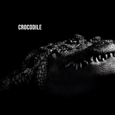 CROCODILE | Boomplay Music