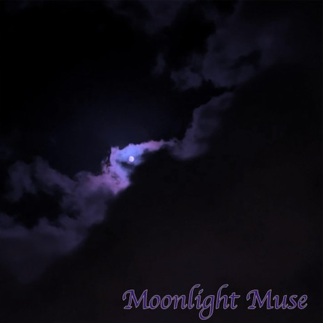 Moonlight Muse | Boomplay Music