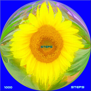 Steps