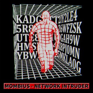 Network Intruder