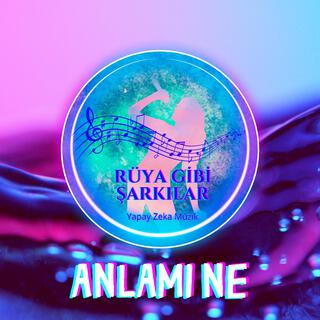 Anlamı Ne (2. Versiyon)