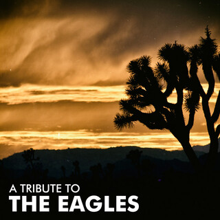 A Tribute To The Eagles