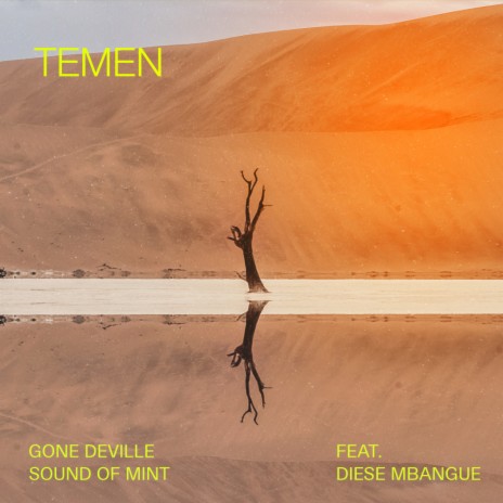 Temen (Instrumental Mix) ft. Sound of mint & Diese Mbangue | Boomplay Music