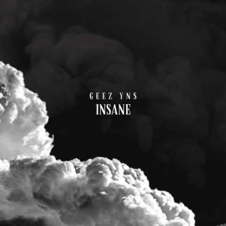 Insane | Boomplay Music