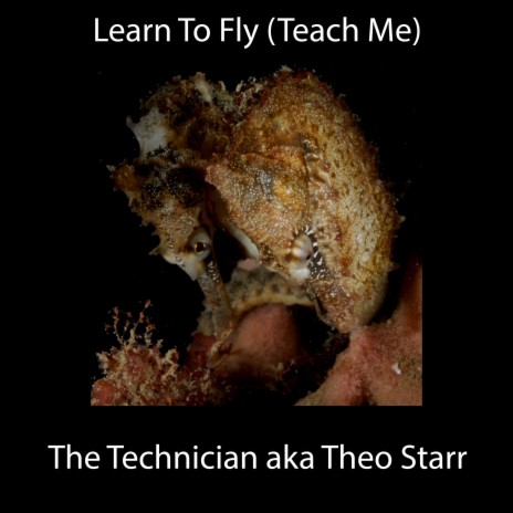 Learn To Fly (Teach Me) | Boomplay Music