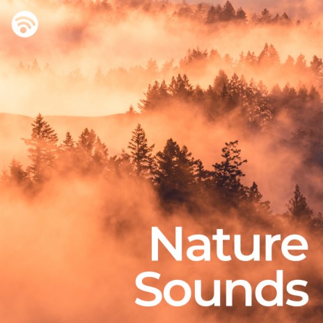 Wake up with Nature Sounds (No Fade, Loopable) ft. Pads of Nature & Portrait of Nature | Boomplay Music