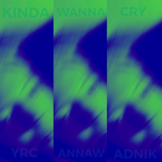 kinda wanna cry lyrics | Boomplay Music
