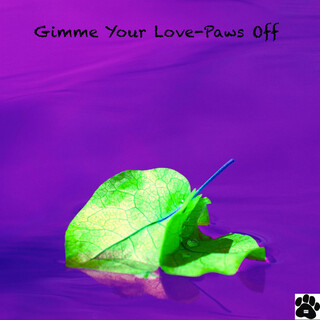 Gimme Your Love