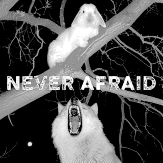 Never Afraid