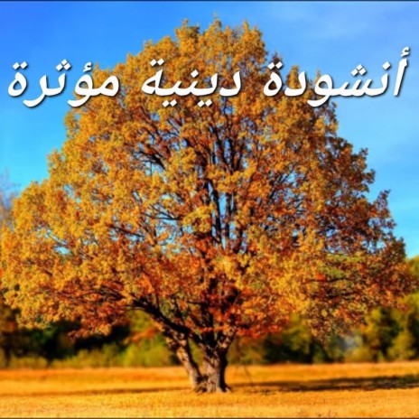 أنشودة دينية رائعة و مؤثرة ❤️كلما سمعتها أبكي