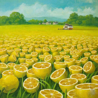 Lemon Field