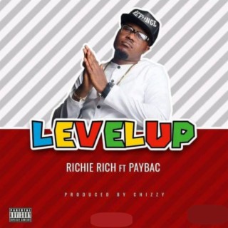 Level Up (feat. Paybac)