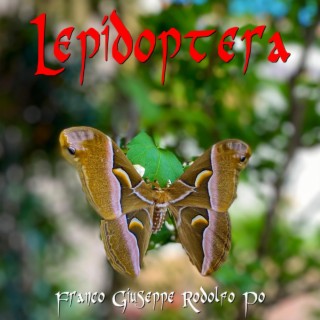 Lepidoptera