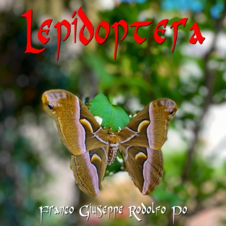 Catopsilia Pomona | Boomplay Music