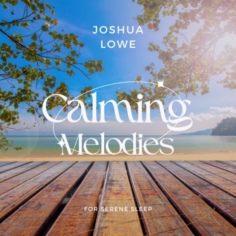 BIO — Joshua Lowe Music