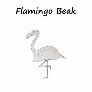 Flamingo Beak