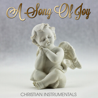 A SONG OF JOY - CHRISTIAN INSTRUMENTALS