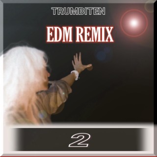 EDM Remix 2