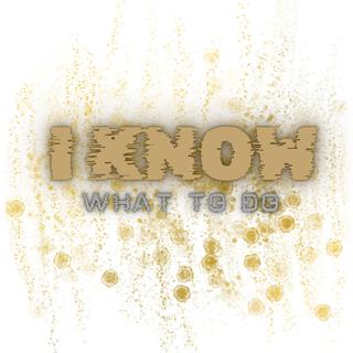 I Know What To Do (Radio Edit)