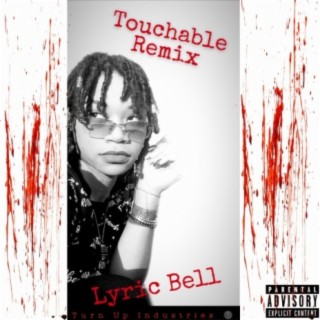 Touchable (Remix) lyrics | Boomplay Music