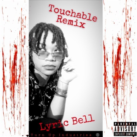 Touchable (Remix) | Boomplay Music