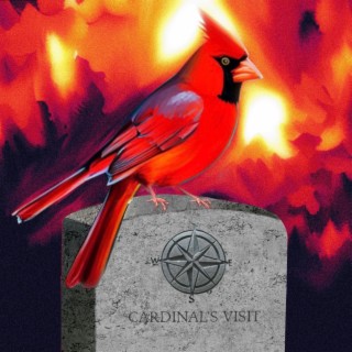 Cardinal's Visit