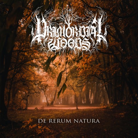 De Rerum Natura | Boomplay Music