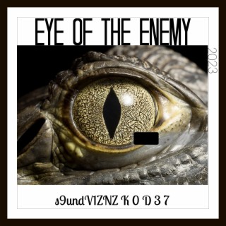Eye Of The Enemy