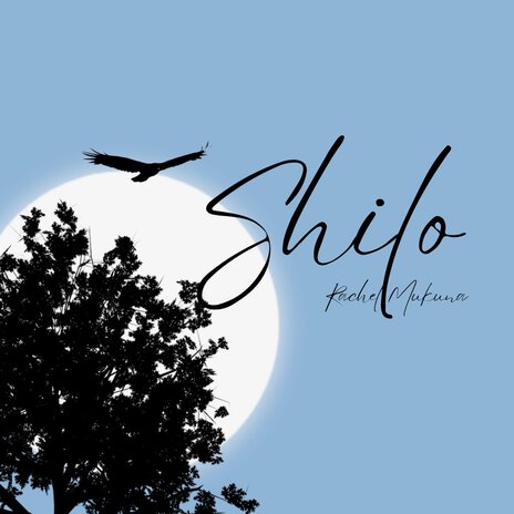 Shilo | Boomplay Music