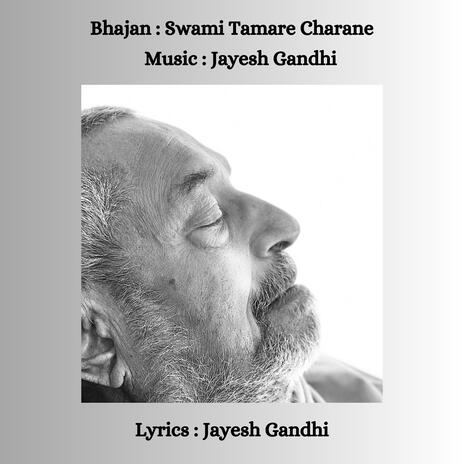 Swami Tamare Charane | Boomplay Music