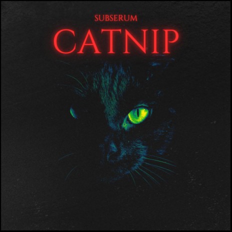 CatNip | Boomplay Music