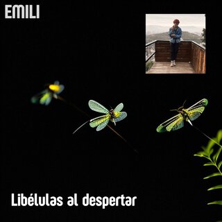 Libélulas al despertar