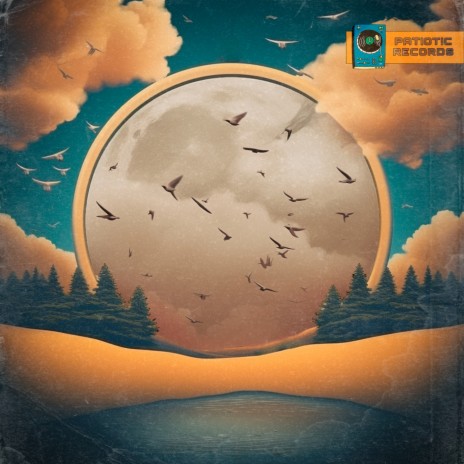 birds on the moon ft. Patiotic Records | Boomplay Music