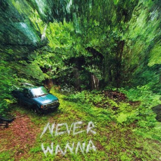 Never Wanna