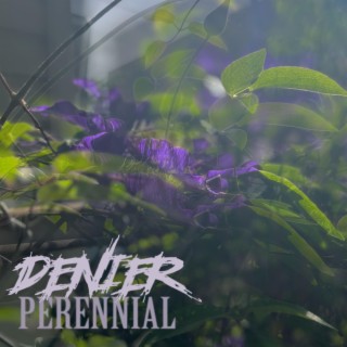 Perennial