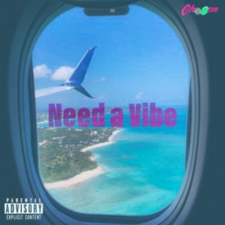 Need a Vibe (feat. Coolie & De)