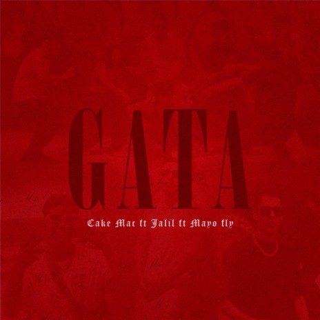 GATA ft. Mayofly & Jalil Chavez | Boomplay Music
