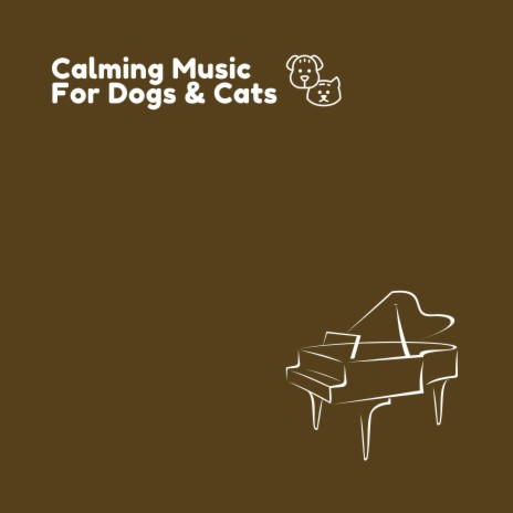 Calm Cat | Boomplay Music