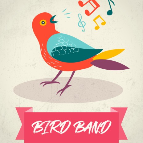 Bird Band | Boomplay Music