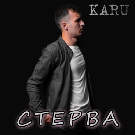 Стерва | Boomplay Music