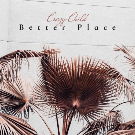 Better Place | Boomplay Music