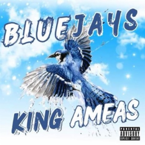 Blue Jays | Boomplay Music