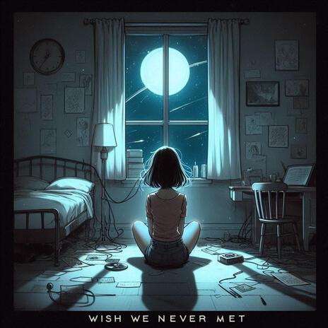 Wish we never met | Boomplay Music