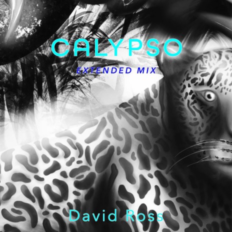 Calypso (Extended Mix) | Boomplay Music