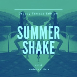 Summer Shake (Groovy Terrace Edition), Vol. 4