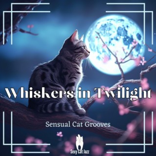 Whiskers in Twilight: Sensual Cat Grooves