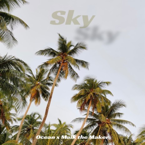 Sky ft. Maik the Maker | Boomplay Music