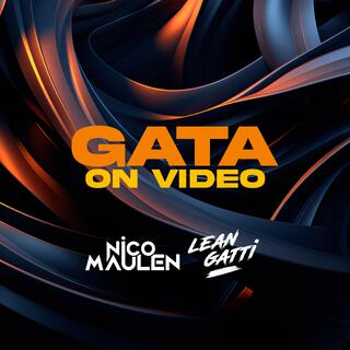 Gata On Video (Techengue)