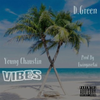 Vibes (feat. D.Green) [Remix]