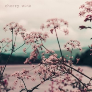 cherry wine (feat. Mel Xkejfa & Danny Magro)